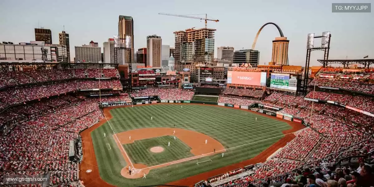 🎯 精准捕捉,不错过任何一个精彩瞬间!